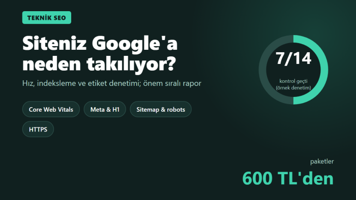 sitenizin teknik SEO denetimini yapıp rapor hazırlarım