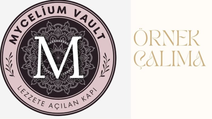  logo tasarımı yaparım