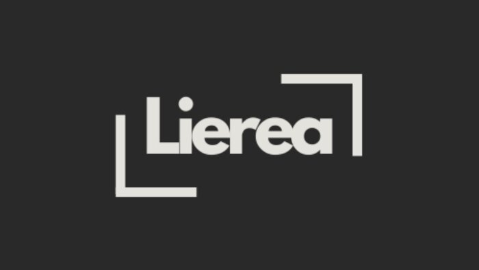 sizin için profesyonel bir logo yapabilirim