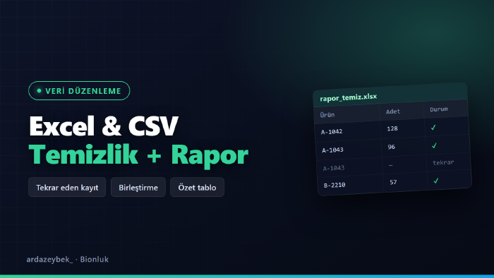 Excel ve CSV verilerinizi Python ile temizler ve raporlarım