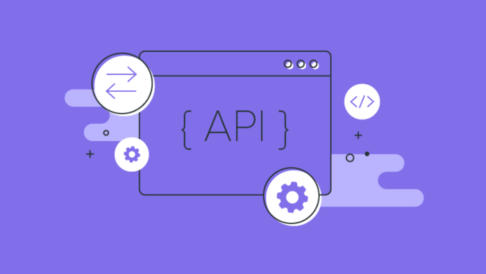 webservis ve api yaparım