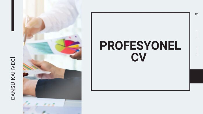 profesyonel cv hazırlarım