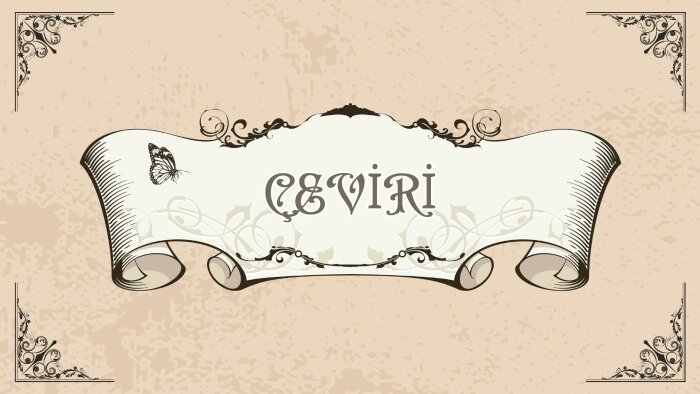 içinize sinecek şekilde çeviri yaparım