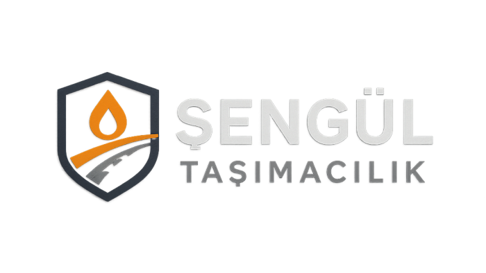 profesyonel logo tasarlarım