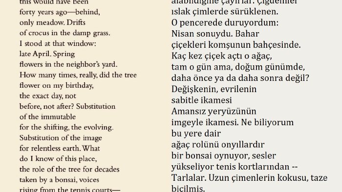 metin yazarlığı yaparım