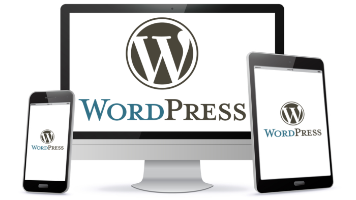 Wordpress tema kurulumu ve görsel tasarımını yaparım
