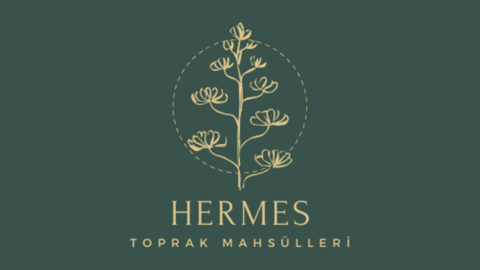 markanıza özel modern ve özgün logo tasarlarım