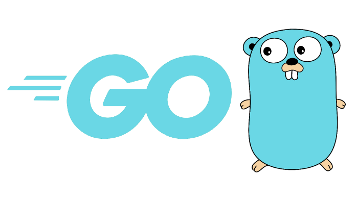 golang ile projelerinizi fikirden canlıya taşırım