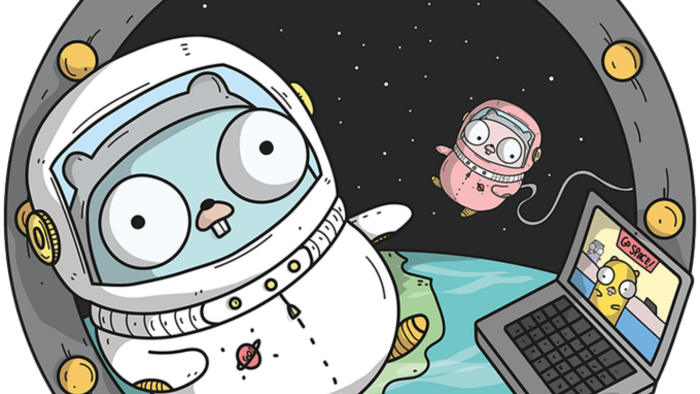 golang ve vue.js ile internet sitelerinizi yazabilirim
