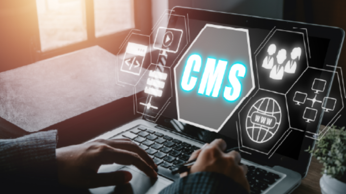 cms sistemlerinizi yenileyebilir ve yeniden yazabilirim