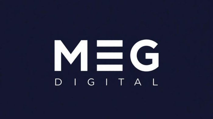 profesyonel internet siteleri hazırlıyorum