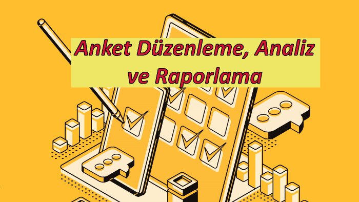 online anket ve benzeri anketleri hazırlar raporlarım