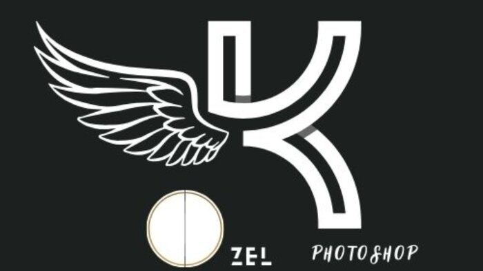 profesyonel logo tasarımı yaparım