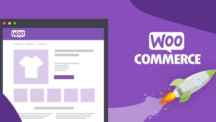 Woocommerce uyumlu eklenti yazabilirim