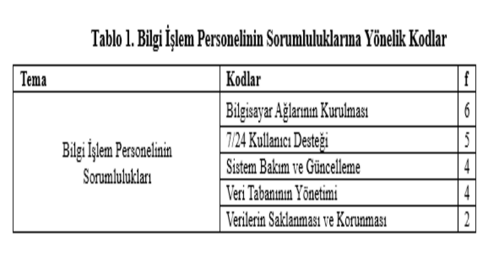 nitel analiz yaparım