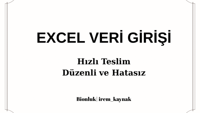 hızlı ve düzenli veri girişi yaparım