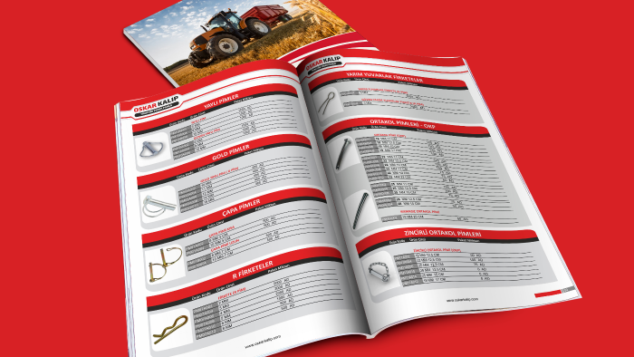 profesyonel bir katalog tasarlayabilirim