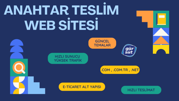 wordpress ile anahtar teslim site teslim ederim