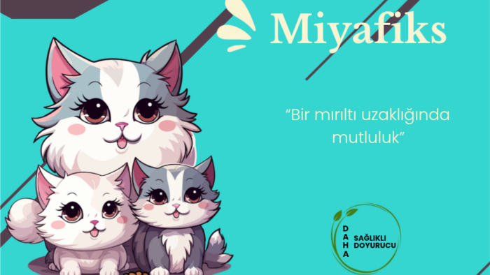 dikkat çekici kurumsal katalog ve broşür tasarımları yaparım