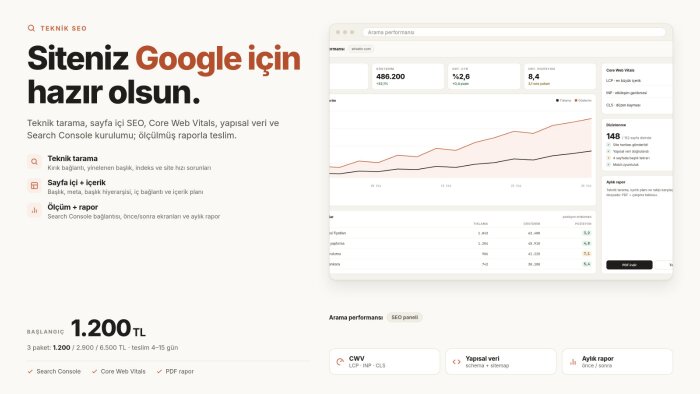 sitenizin teknik SEO'sunu kurup Google'a hazırlıyorum