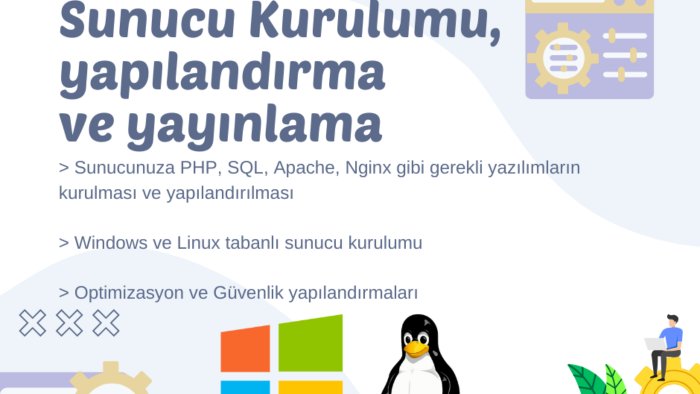 sunucunuzu kurup yapılandırarak sitenizi yayınlayabilirim