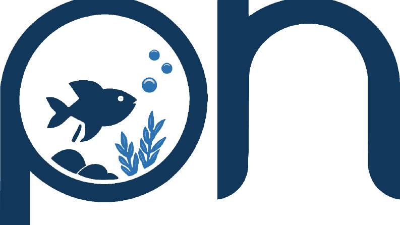 logo çalışması