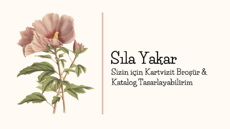 Broşür ve Katalog Tasarımlarıyla Markanızı Tanıtın