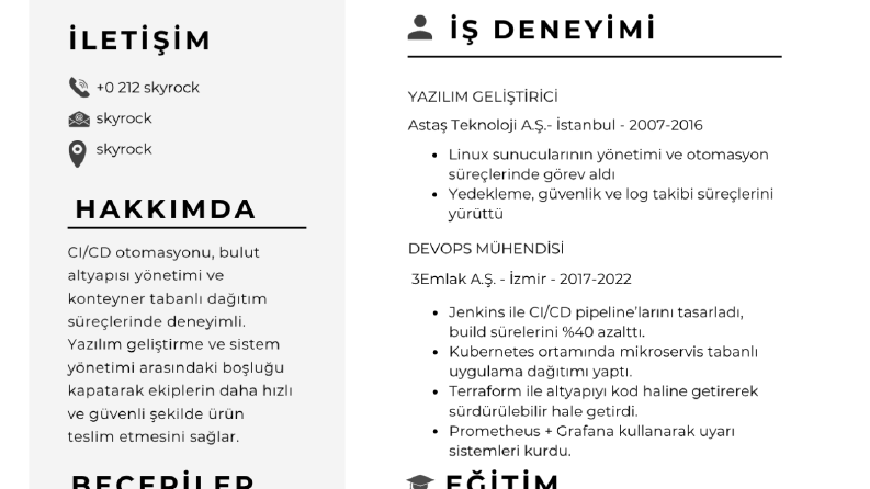 profesyonel cv