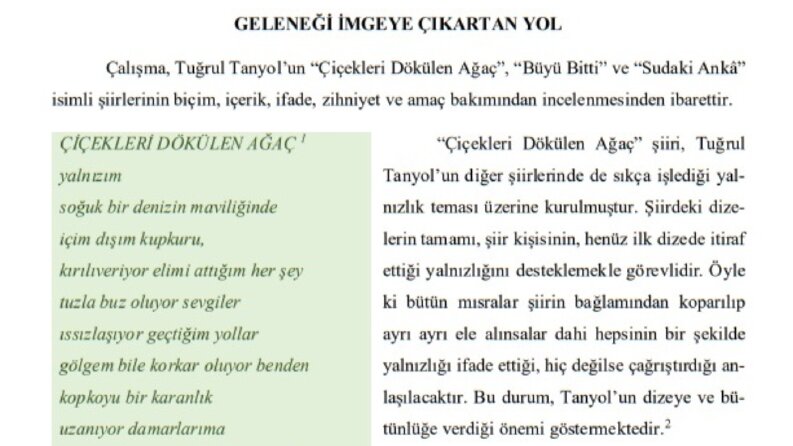 Akademik Metin