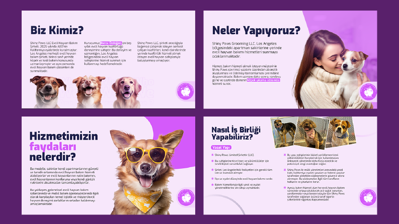 Hizmet Sektörü Katalog - Sunum Tasarımı