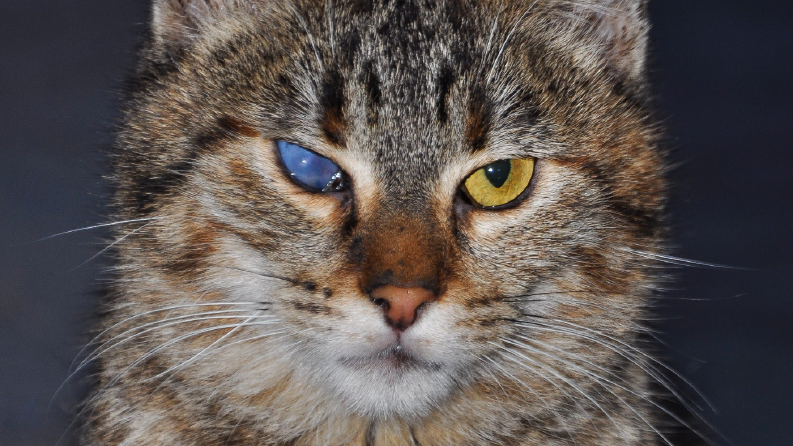Fotoğraf & Düzenleme