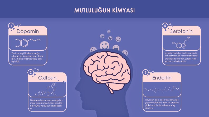 İnfografik