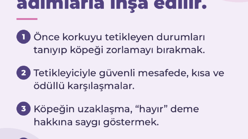 Instagram Carousel Tasarımı