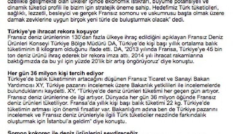 Örnek Ekonomi Bülteni
