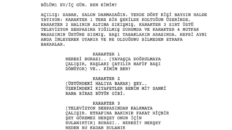 Kısa Film Senaryo Taslağı -"HIRSIZ KİM?"-
