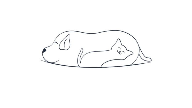 Pet Yatak Firması-Logo Tasarımı