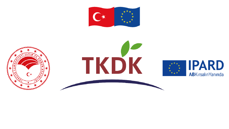 TKDK DANIŞMANLIK HİZMETİ