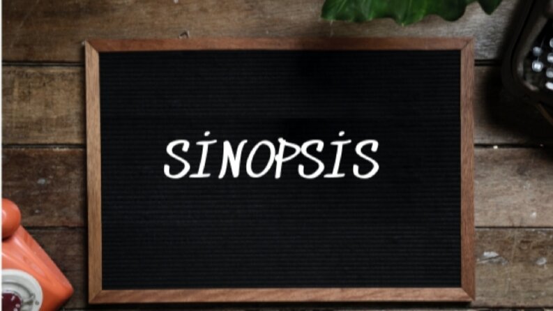 Sinopsis Çevirisi