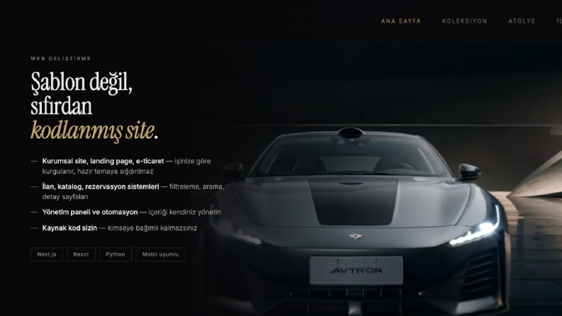 Web Sitesi Geliştirme