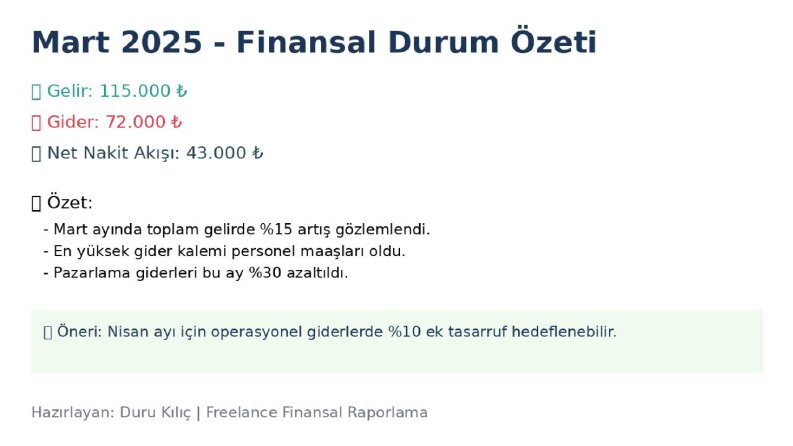 Aylık Finansal Durum Raporu Örneği