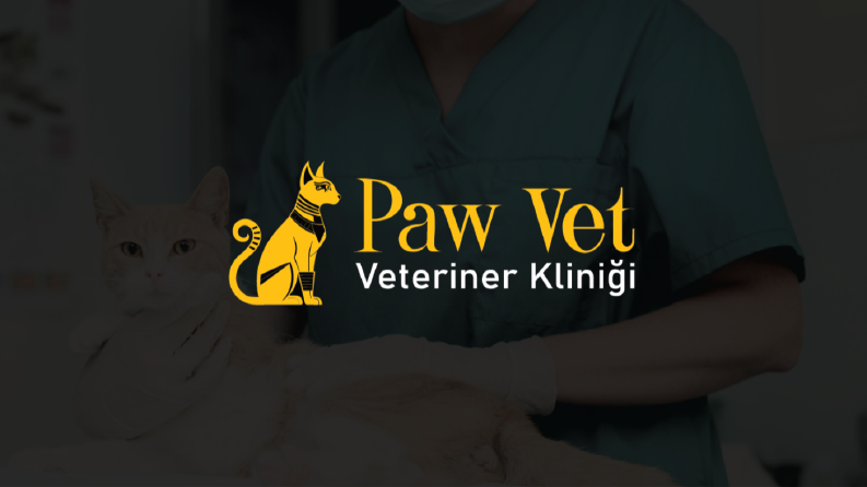 PawVet: Kurumsal Kimlik ve Logo Tasarımı