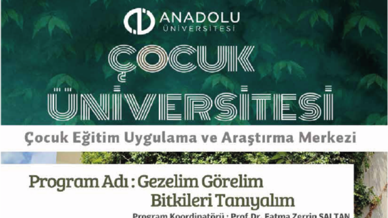 katalog, afiş, broşür tasarımları