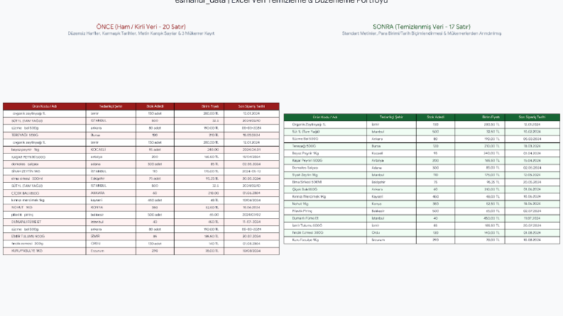 Excel veri girişi,temizliği düzenleme işlerini yapabilirim