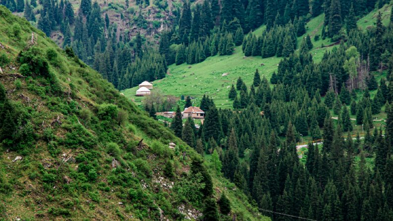 Fotoğraf düzenleme