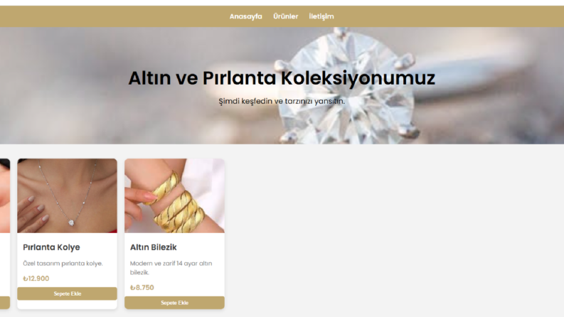 E-Ticaret Konsepti Altında Web Sitesi Tasarımı