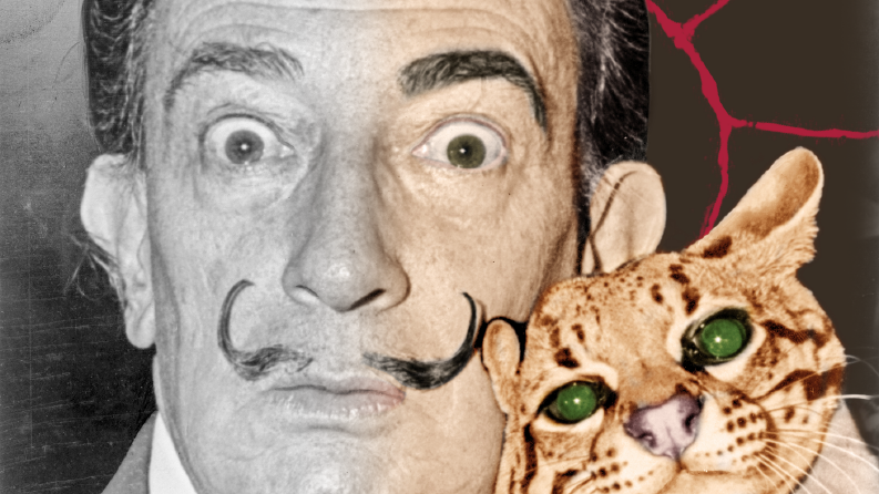Salvador Dali - Renklendirme