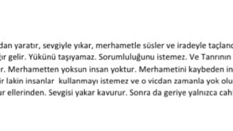 Eleştiri