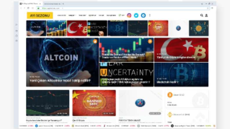 Ayı Sezonu Blog Tasarım