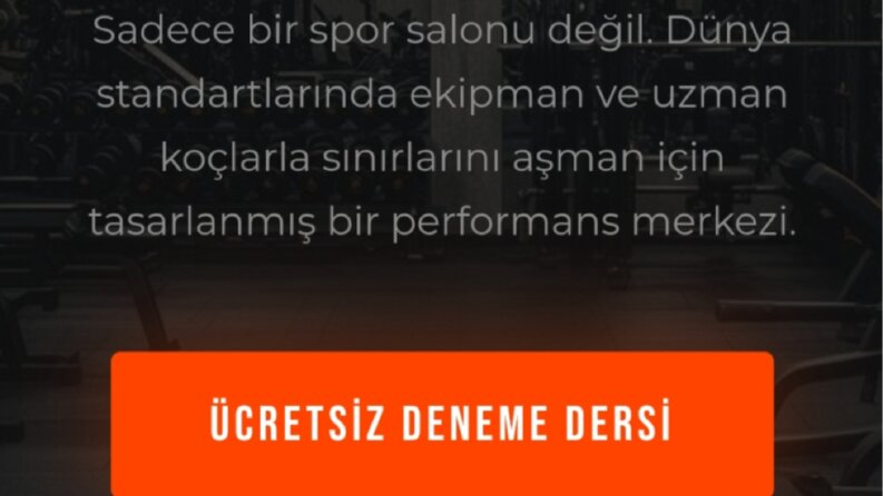 Web site yapimi