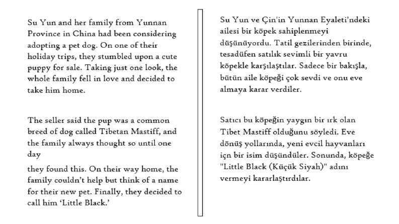İş örneğim